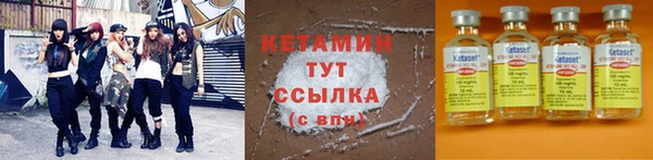 прущие грибы Магадан
