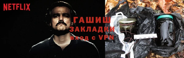 прущие грибы Магадан