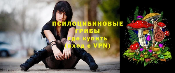 дживик Липки